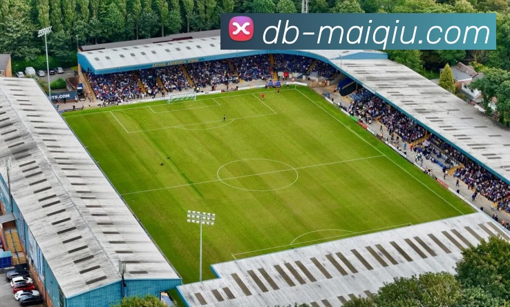 多媒体互动体验