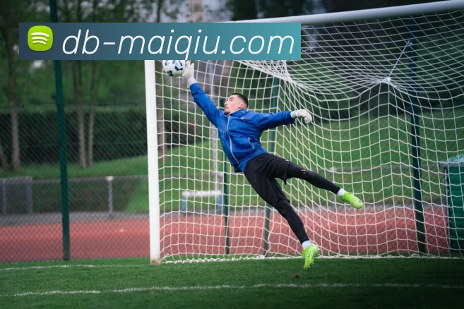 足球买球APP下载APP 高清赛事图